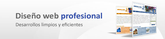 Diseño web profesional